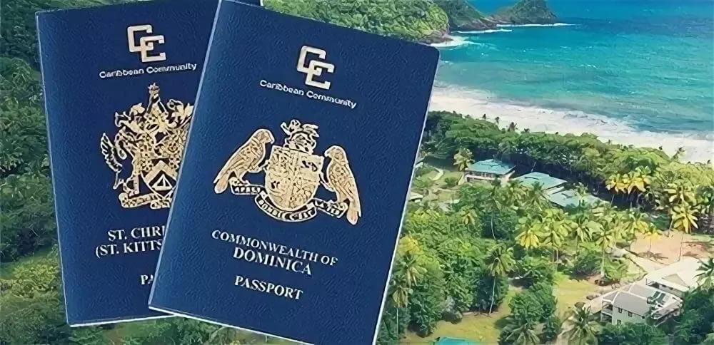 Как получить паспорт Доминики: требования и процедуры