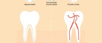 La sonrisa que cuida tu cuerpo: la sorprendente relación entre la salud bucal y las enfermedades sistémicas