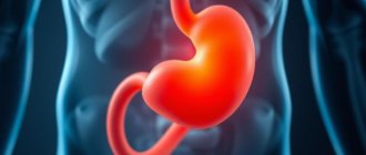 Гиосцина бутилбромид: как и почему он расслабляет гладкую мускулатуру внутренних органов