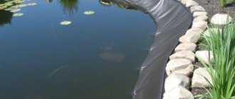 Пленка для пруда: как выбрать, установить и не допустить ошибок