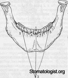 Движения нижней челюсти во фронтальной плоскости.  
