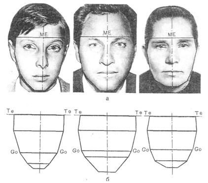 Фотометрия лица у детей и у их родителей.