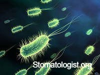 Эволюция бактерий полости рта